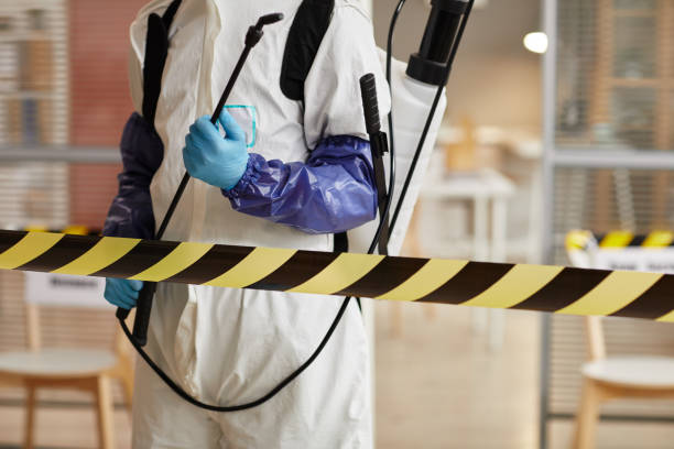 Professional Hoarding Cleanup technician working in Whitehall, MI